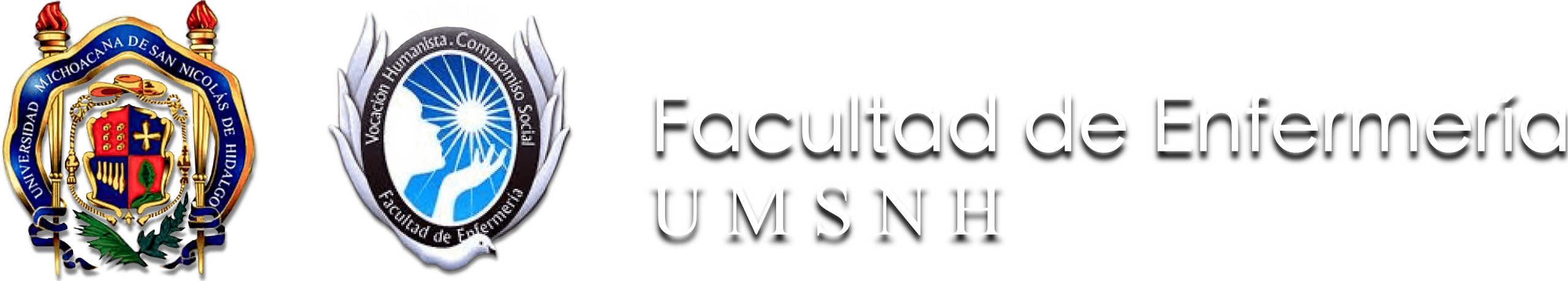 Facultad de Enfermeria de la UMSNH
